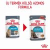 Royal Canin Urinary Care - szószos nedves táp felnőtt macskák részére az alsó húgyúti problémák megelőzéséért 12 x  85 g