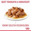 Royal Canin Urinary Care - szószos nedves táp felnőtt macskák részére az alsó húgyúti problémák megelőzéséért 12 x  85 g