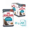 Royal Canin Urinary Care - szószos nedves táp felnőtt macskák részére az alsó húgyúti problémák megelőzéséért 12 x  85 g