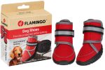 Flamingo kutyaruha - Kajan piros cipő L 2 db