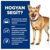 Hill's Prescription Diet i/d Digestive Care kutyatáp, pulyka - konzerv  360 g