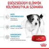 Royal Canin Mini Puppy - kistestű kölyök kutya száraz táp  4 kg