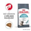 Royal Canin Hairball Care - száraz táp felnőtt macskák részére a szőrlabdák könnyebb eltávozásáért  400 g