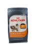 Royal Canin Hair & Skin Care - száraz táp felnőtt macskák részére a szebb szőrzetért és az egészséges bőrért  400 g
