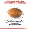 Royal Canin Persian Adult - Perzsa felnőtt macska száraz táp  400 g