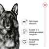 Royal Canin Maxi Adult - nagytestű felnőtt kutya száraz táp  4 kg