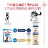 Royal Canin Maxi Puppy - nagytestű kölyök kutya száraz táp  4 kg