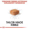 Royal Canin Yorkshire Terrier Puppy - Yorkshire Terrier kölyök kutya száraz táp  1.5 kg