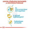 Royal Canin Yorkshire Terrier Puppy - Yorkshire Terrier kölyök kutya száraz táp  1.5 kg