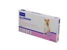 Virbac Allerderm Spot-On 10 kg feletti kutyák és macskák számára 6 x  4 ml