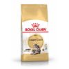Royal Canin Maine Coon Adult - Maine Coon felnőtt macska száraz táp  10 kg