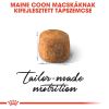 Royal Canin Maine Coon Adult - Maine Coon felnőtt macska száraz táp  10 kg