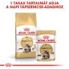 Royal Canin Maine Coon Adult - Maine Coon felnőtt macska száraz táp  10 kg