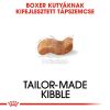 Royal Canin Boxer Adult - Boxer felnőtt kutya száraz táp  12 kg