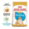 Royal Canin Bulldog Puppy - Angol Bulldog kölyök kutya száraz táp  3 kg