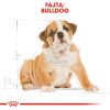Royal Canin Bulldog Puppy - Angol Bulldog kölyök kutya száraz táp  3 kg
