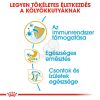 Royal Canin Bulldog Puppy - Angol Bulldog kölyök kutya száraz táp  3 kg
