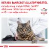 Royal Canin Feline Dental  1.5 kg