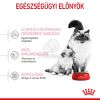 Royal Canin Mother & Babycat -  kölyök és anya macska száraz táp  400 g