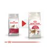 Royal Canin Fit - aktív felnőtt macska száraz táp  2 kg