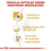 Royal Canin German Shepherd Adult - Német Juhász felnőtt kutya száraz táp  3 kg
