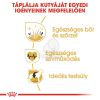 Royal Canin Golden Retriever Adult - Golden Retriever felnőtt kutya száraz táp  12 kg