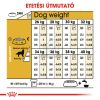 Royal Canin Golden Retriever Adult - Golden Retriever felnőtt kutya száraz táp  12 kg