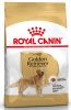 Royal Canin Golden Retriever Adult - Golden Retriever felnőtt kutya száraz táp  12 kg