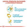 Royal Canin Yorkshire Terrier Puppy - Yorkshire Terrier kölyök kutya száraz táp  500 g