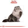 Royal Canin Persian Adult - Perzsa felnőtt macska száraz táp  4 kg