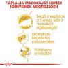 Royal Canin Persian Adult - Perzsa felnőtt macska száraz táp  4 kg