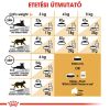 Royal Canin Persian Adult - Perzsa felnőtt macska száraz táp  4 kg