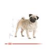 Royal Canin Pug Adult - Mopsz felnőtt kutya száraz táp  1.5 kg