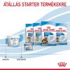 Royal Canin Babydog Milk - Tejpótló tápszer kölyökkutyáknak  2 kg
