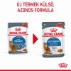Royal Canin Light Weight Care - szószos nedves táp felnőtt macskák részére az ideális testsúly eléréséért  85 g