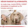 Royal Canin Neutered Adult Small Dog  3.5 kg