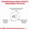 Royal Canin Feline Fibre Response Dry 31  4 kg