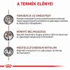 Royal Canin Feline Fibre Response Dry 31  4 kg