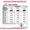 Royal Canin Feline Fibre Response Dry 31  400 g