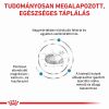 Royal Canin Hypoallergenic Small Dog 24  3.5 kg