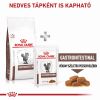 Royal Canin Feline Gastrointestinal  4 kg