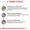 Royal Canin Gastrointestinal - Konzerv  400 g