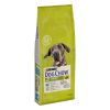 Dog Chow Adult Large Breed Turkey  14 kg