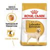 Royal Canin Labrador Adult - Labrador Retriever felnőtt kutya száraz táp  12 kg
