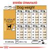 Royal Canin Labrador Adult - Labrador Retriever felnőtt kutya száraz táp  12 kg