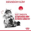 Royal Canin Hair & Skin Care - szószos nedves táp felnőtt macskák részére a szebb szőrzetért és az egészséges bőrért  85 g