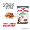 Royal Canin Digestive Care - szószos nedves táp érzékeny emésztésű felnőtt macskák részére  85 g