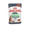 Royal Canin Digestive Care - szószos nedves táp érzékeny emésztésű felnőtt macskák részére  85 g