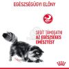Royal Canin Digestive Care - szószos nedves táp érzékeny emésztésű felnőtt macskák részére  85 g