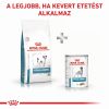 Royal Canin Hypoallergenic Small Dog 24  1 kg
